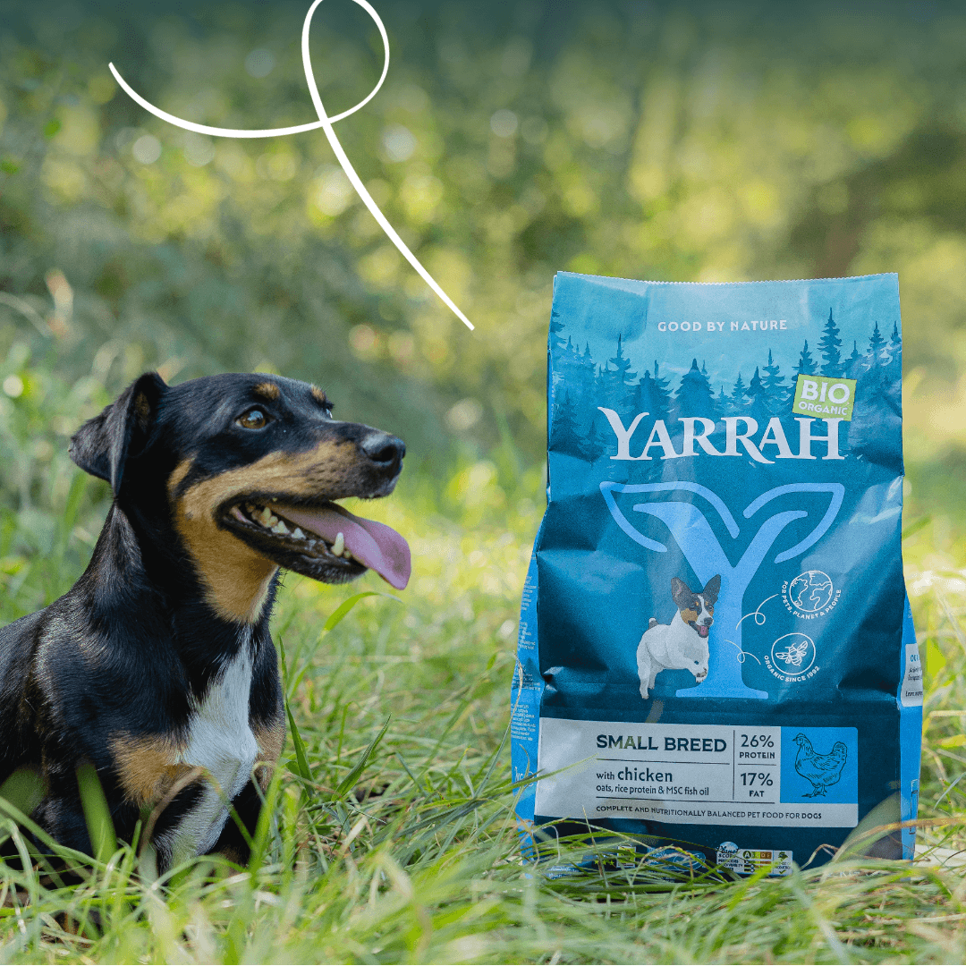 Croquettes biologiques pour chien de petite race
