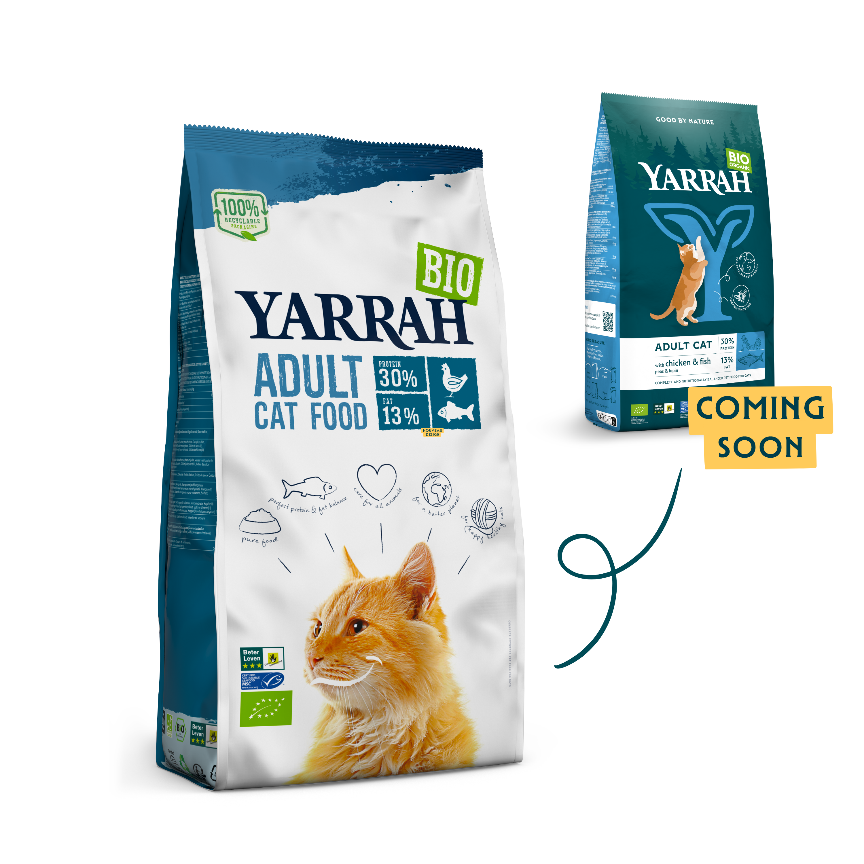 Organic Adult dry cat food with fish Organic Adult dry cat food with fish
