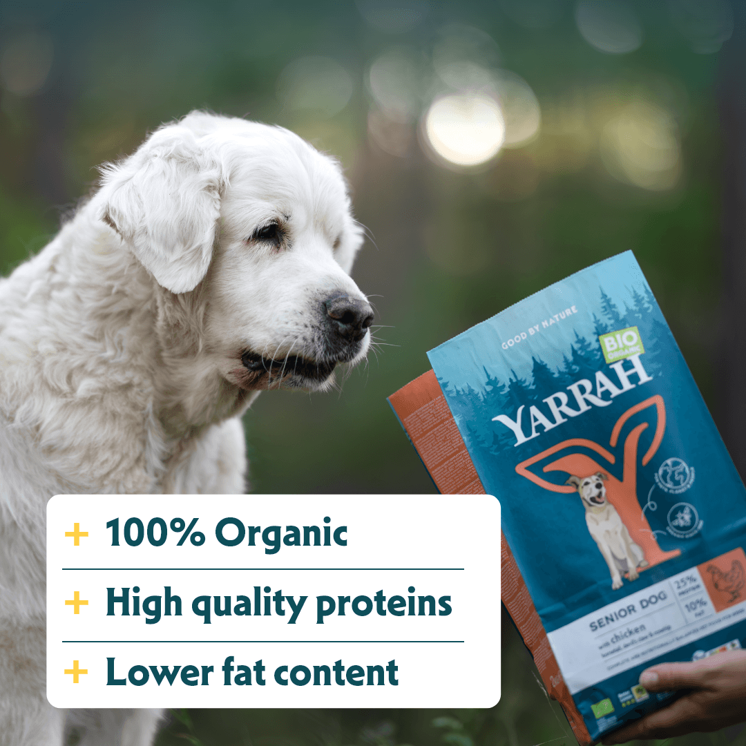 Bio-Hundefutter Senior