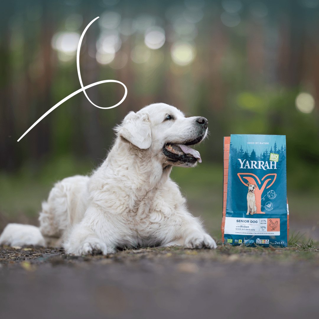Bio-Hundefutter Senior