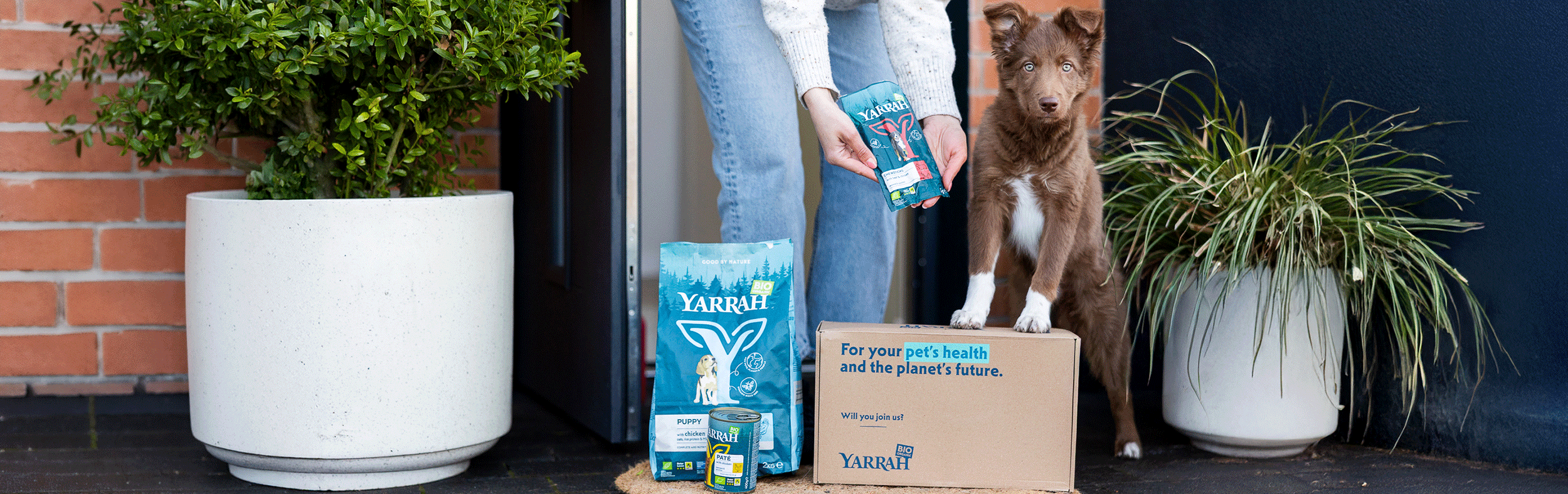 Yarrah - Droogvoer Hond Sensitive Bio | Bestellen Yarrah - Droogvoer Hond Sensitive Bio | Bestellen