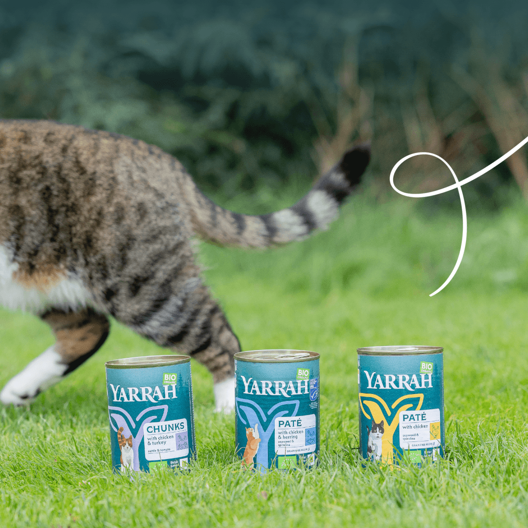 Biologisch kattenvoer paté met kip