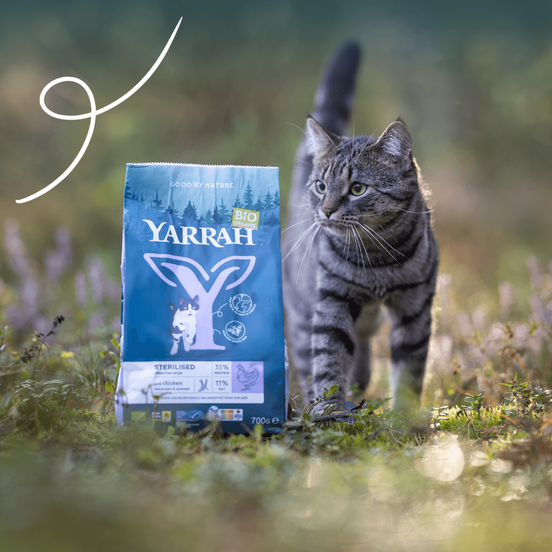 Bio-Katzenfutter Wheat-Free für sterilisierte Katzen