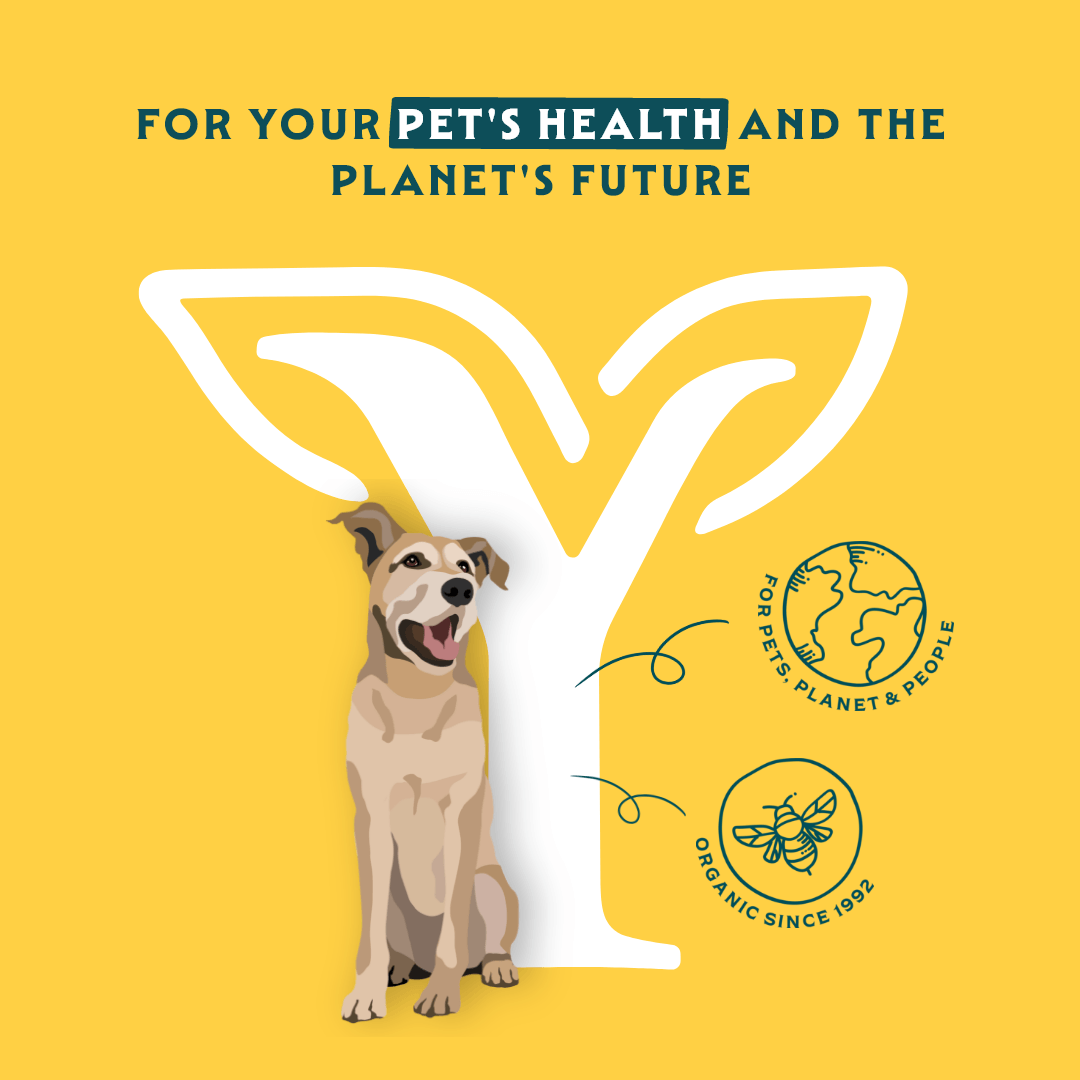 Bio-Hundefutter Senior