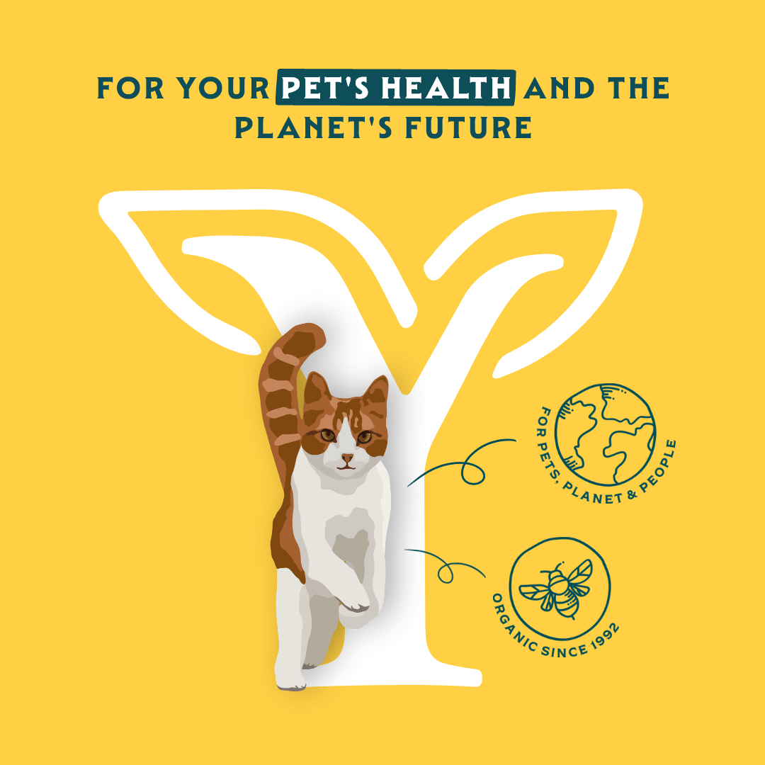 Bouchées biologiques au poulet et à la dinde pour chat