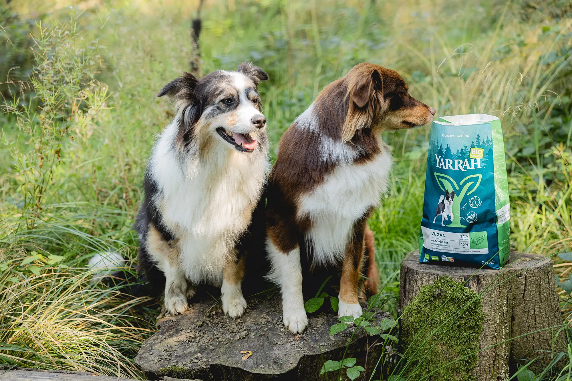 2 dogs next to Yarrah Vegan food in paper bag
