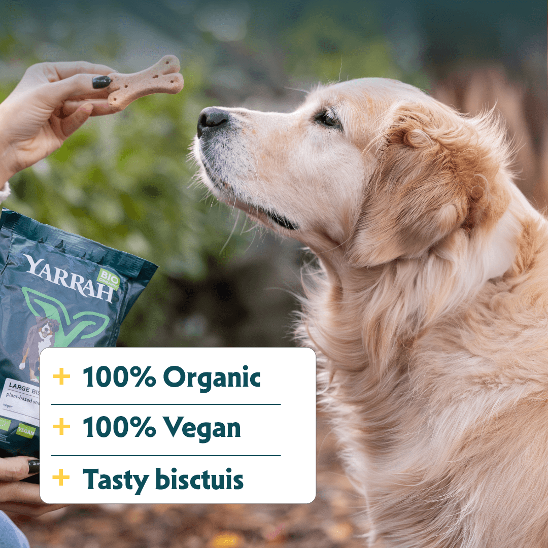 Bio-Hundekekse Vegane für größere Hunde