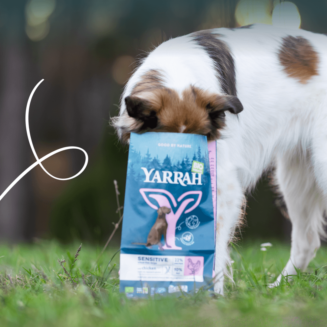 Bio-Hundefutter Sensitive
