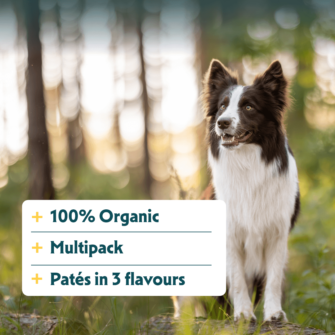 Bio-Hundefutter Pastete in 3 Varianten