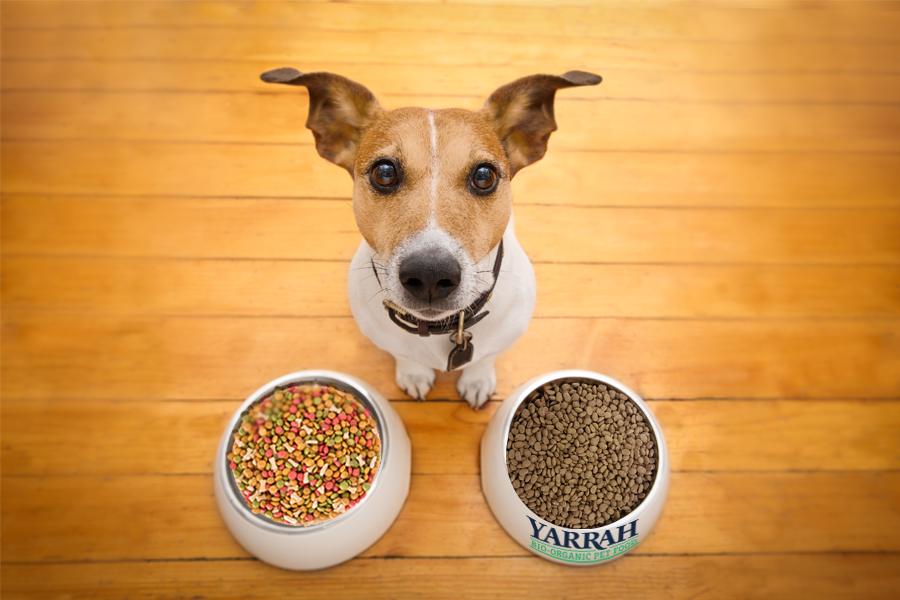 Versuch’ doch mal! Tierfreundliche „Tests“