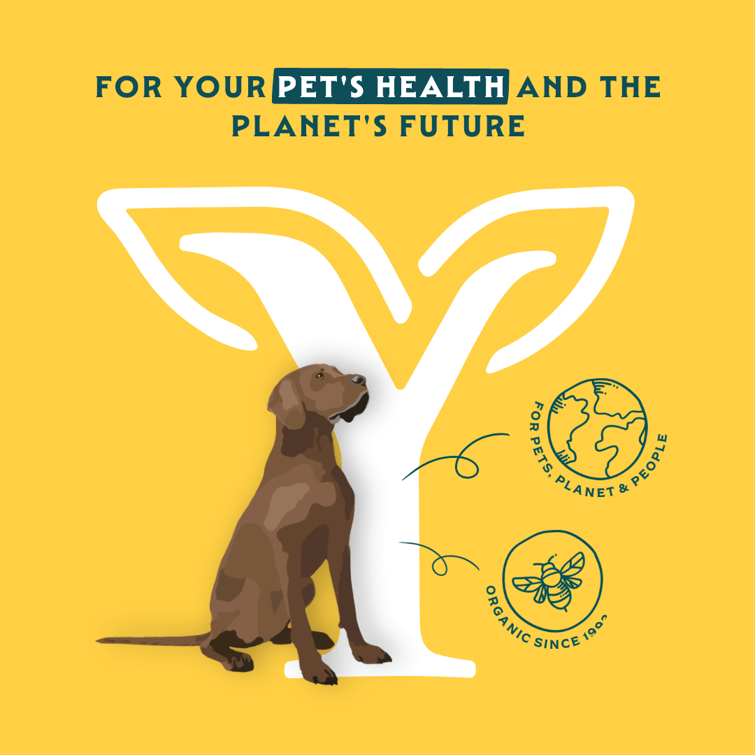 Bio-Hundefutter Sensitive