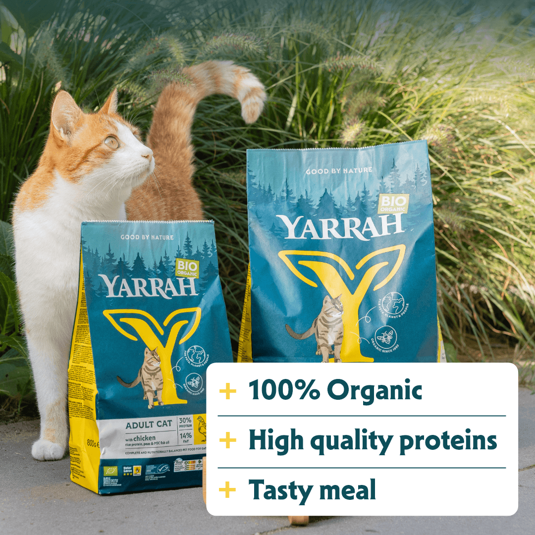 Croquettes biologiques au poulet pour chat