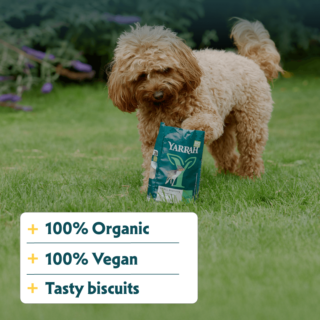 Organic vegan dog biscuits for smaller dogs