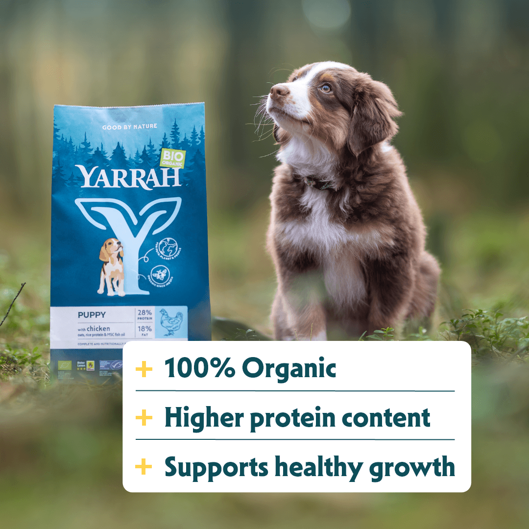 Bio-Hundefutter Welpe