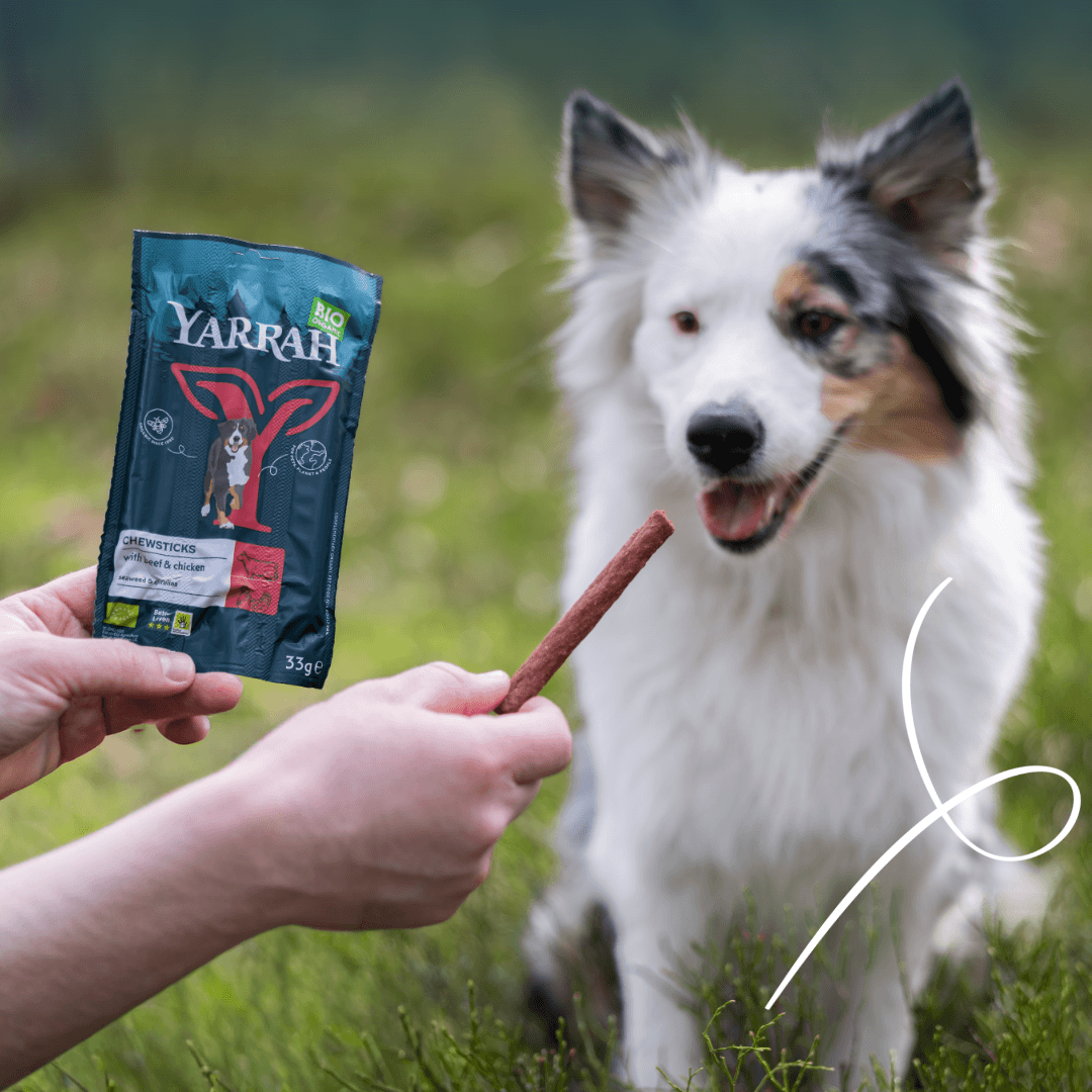 Biologische kauwstaafjes voor honden