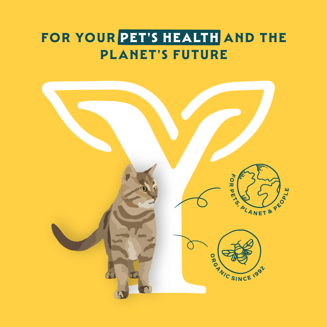 Bouchées biologiques au poulet et à la dinde pour chat
