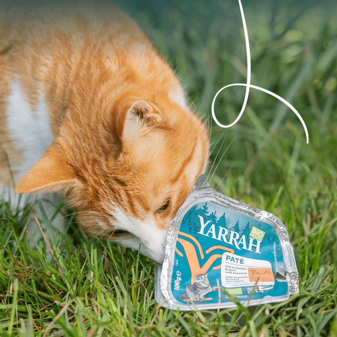 Biologisch kattenvoer paté met kip en eend