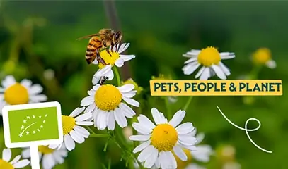 Hoe herken je Ʃcht biologisch voer voor je hond of kat?