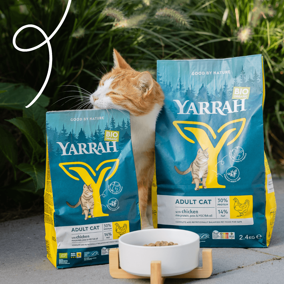 Croquettes biologiques au poulet pour chat