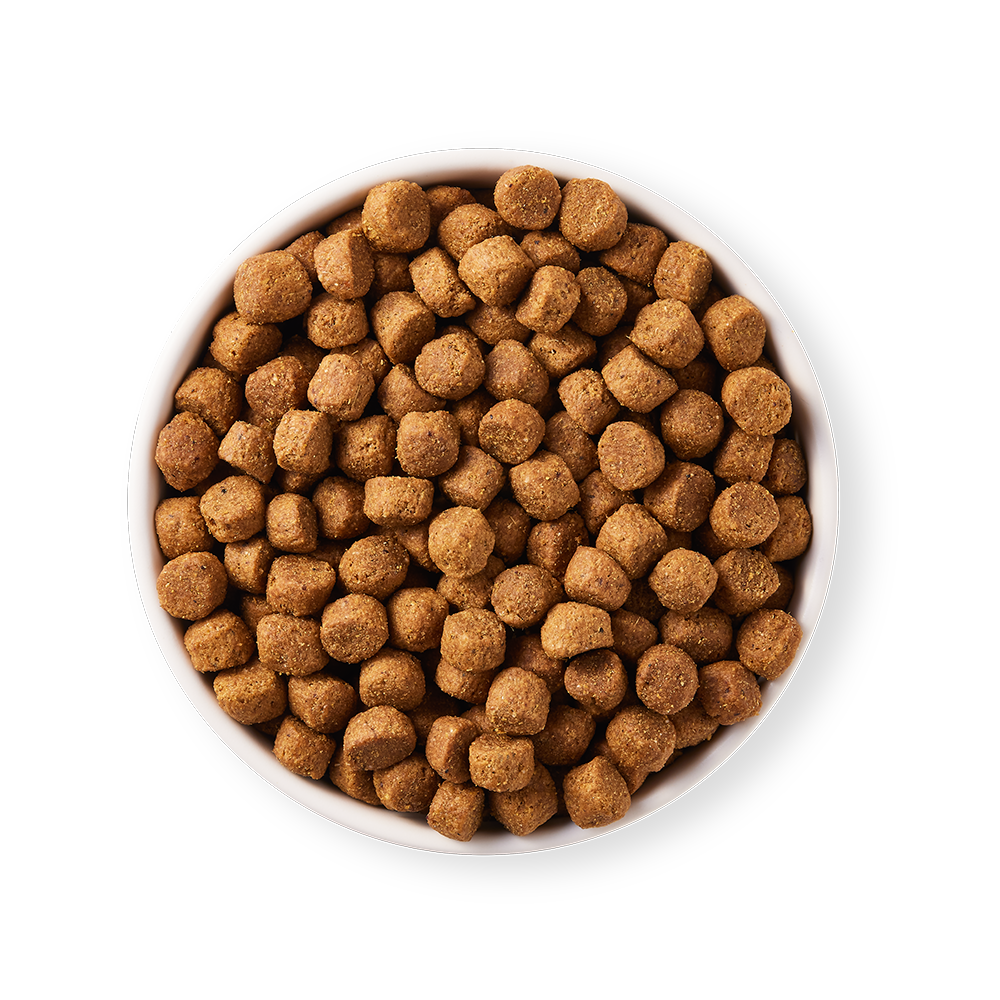 Yarrah Biologisch Hondenvoer Vegan Tarwe Vrij 10 kg Yarrah Biologisch Hondenvoer Vegan Tarwe Vrij 10 kg