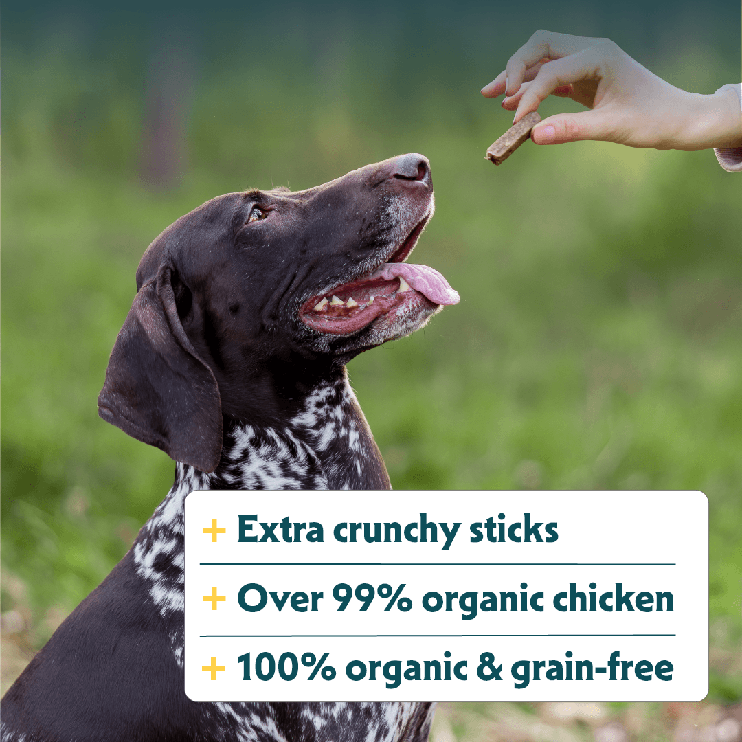 Organic crunchy Sticks with chicken