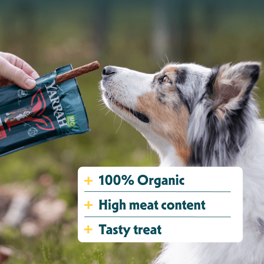 Biologische kauwstaafjes voor honden
