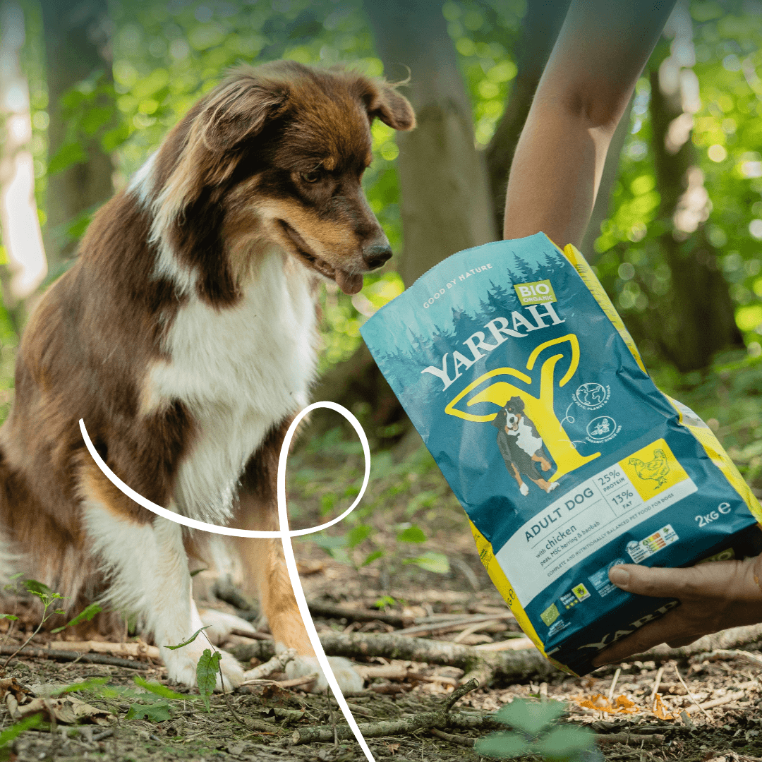 Bio-Hundefutter Adult Huhn