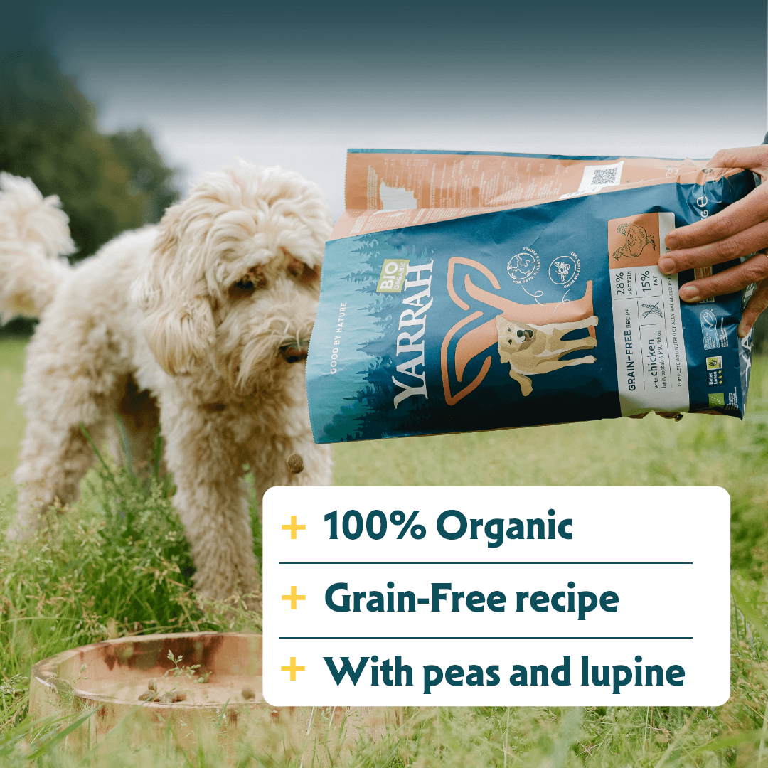 Croquettes biologiques sans céréales
