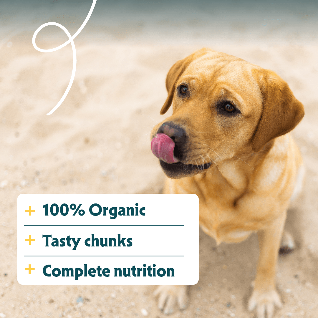 Organic dog food chunks with chicken