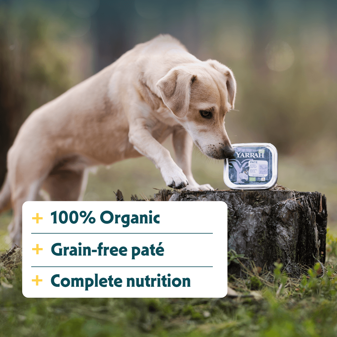 Bio-Hundefutter Pastete mit Huhn und Truthahn