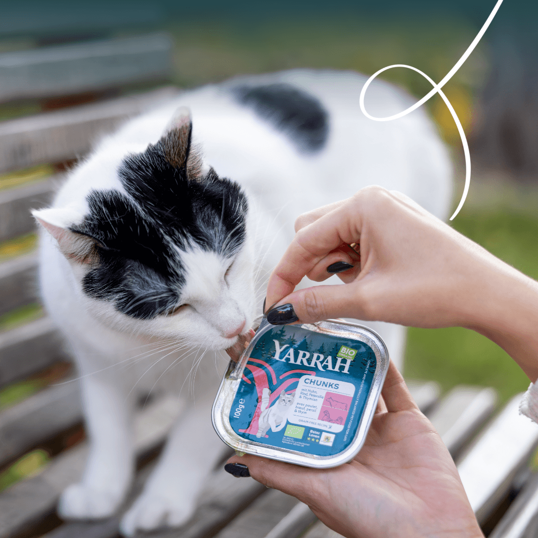 Bio-Katzenfutter Bröckchen mit Huhn und Rind