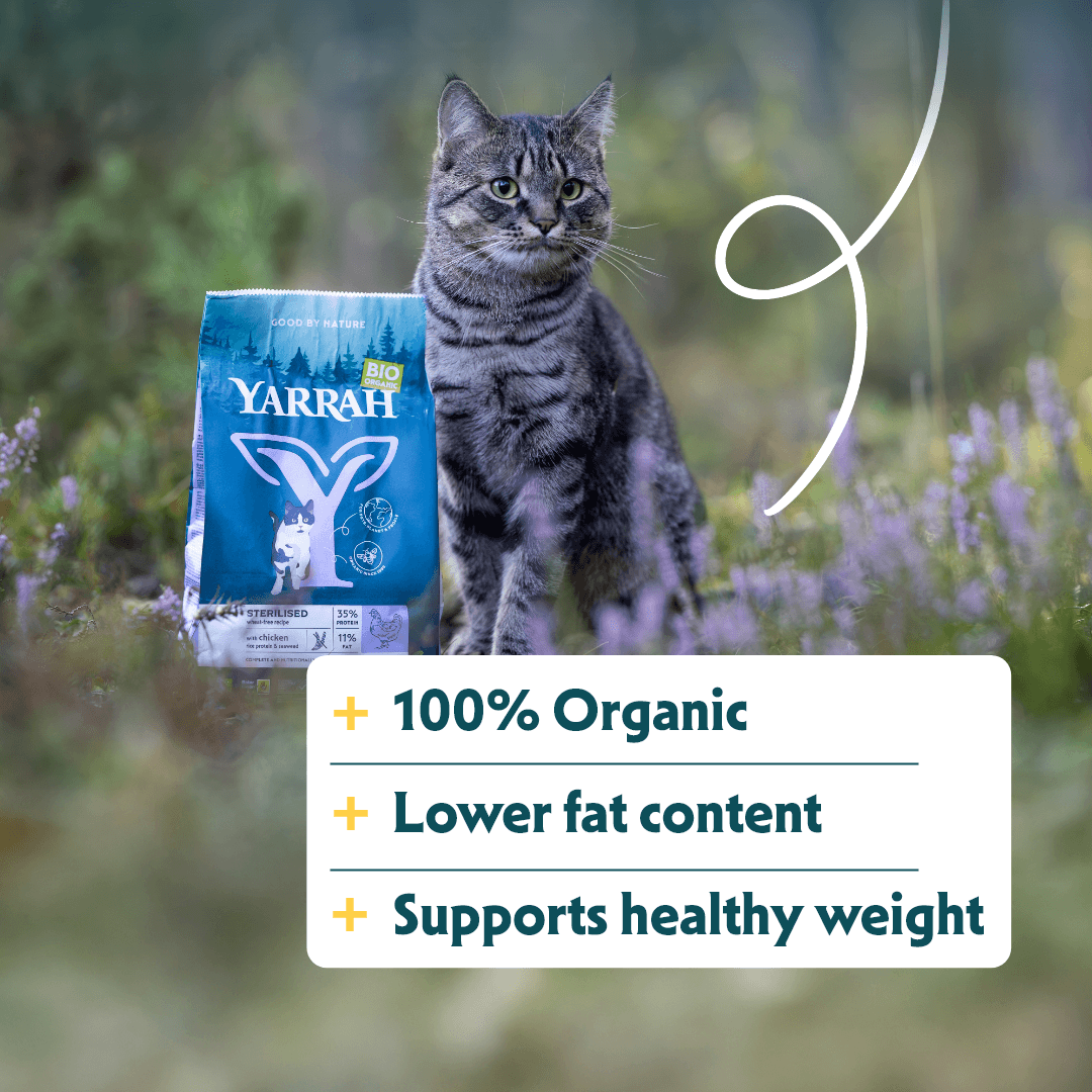 Bio-Katzenfutter Wheat-Free für sterilisierte Katzen