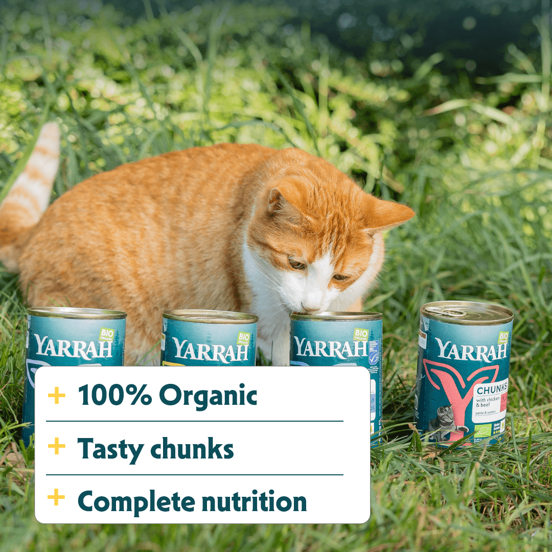 Bouchées biologiques au poulet et au bœuf pour chat