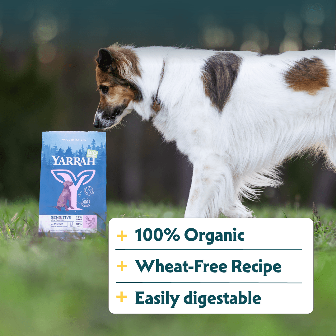 Bio-Hundefutter Sensitive