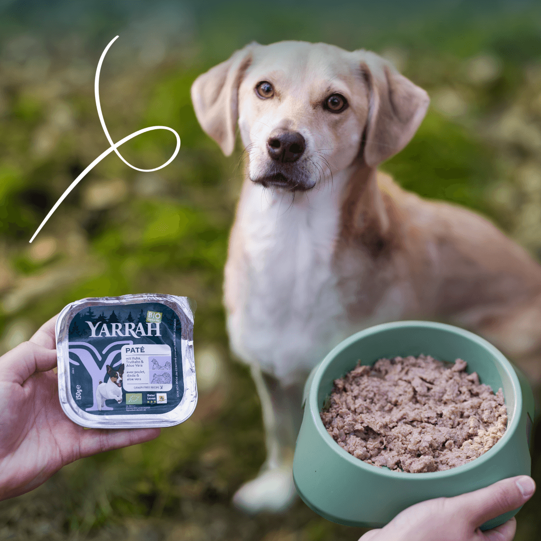 Bio-Hundefutter Pastete in 3 Varianten
