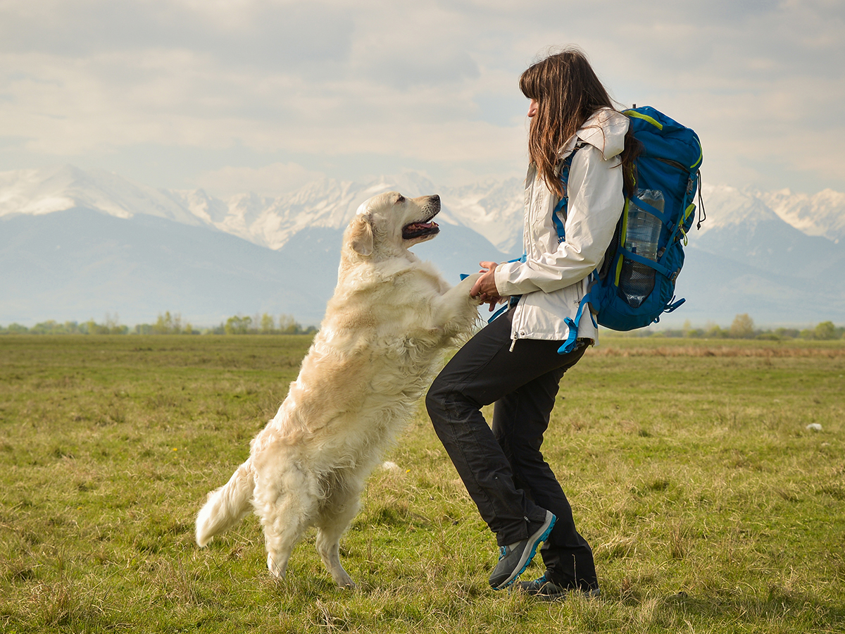 Deinem Hund Anspringen in drei Schritten abgewöhnen