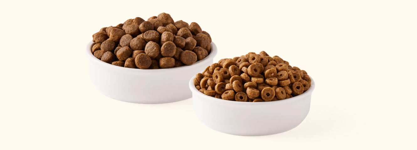 Kibble with a crunch