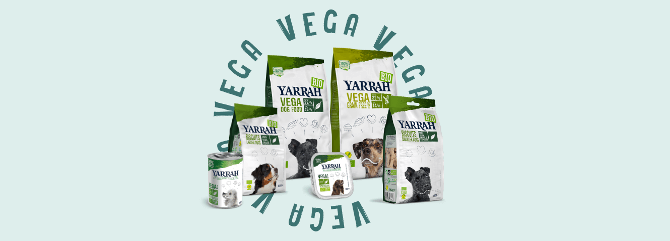 Making sense of vegetarian dog food