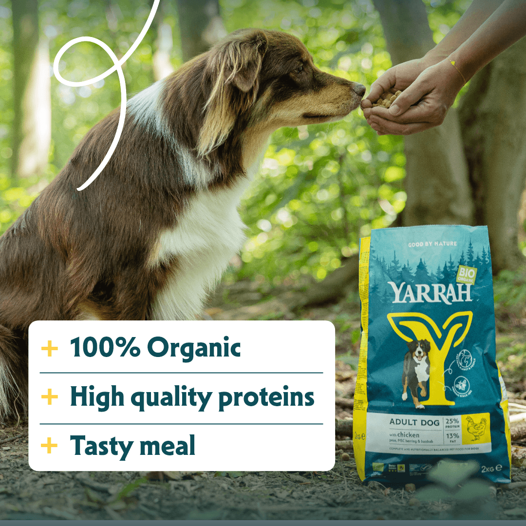 Bio-Hundefutter Adult Huhn