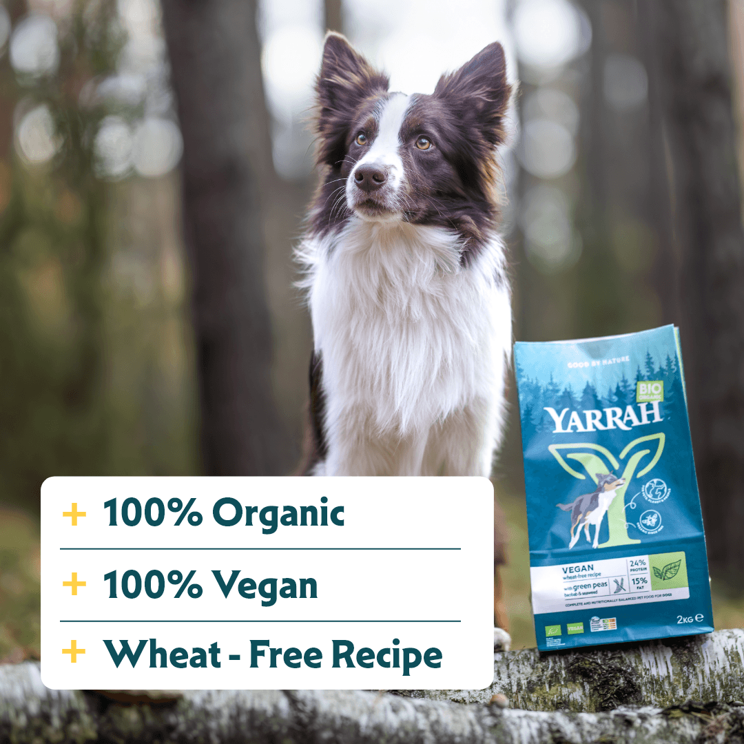 Croquettes biologiques Végans sans blé