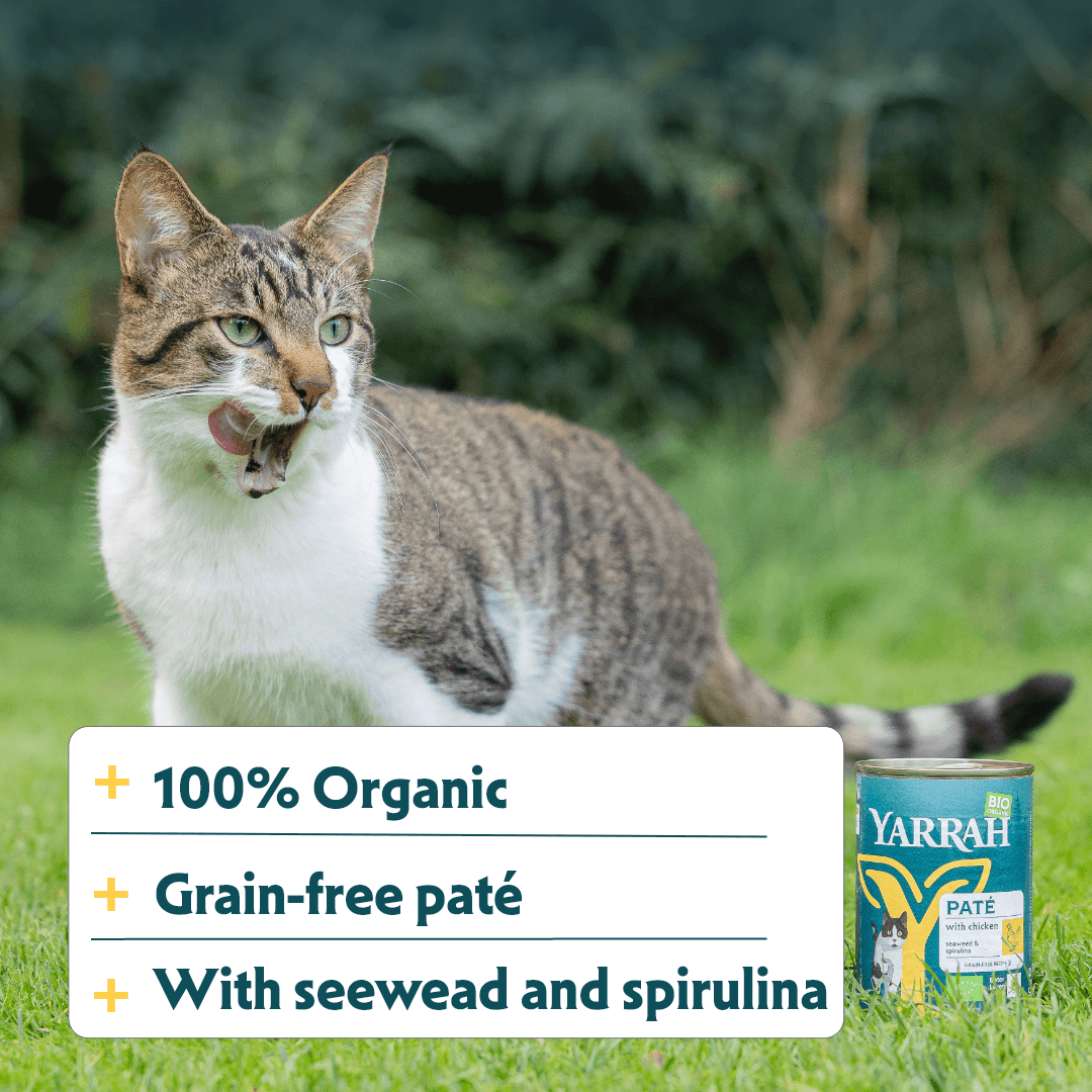 Biologisch kattenvoer paté met kip