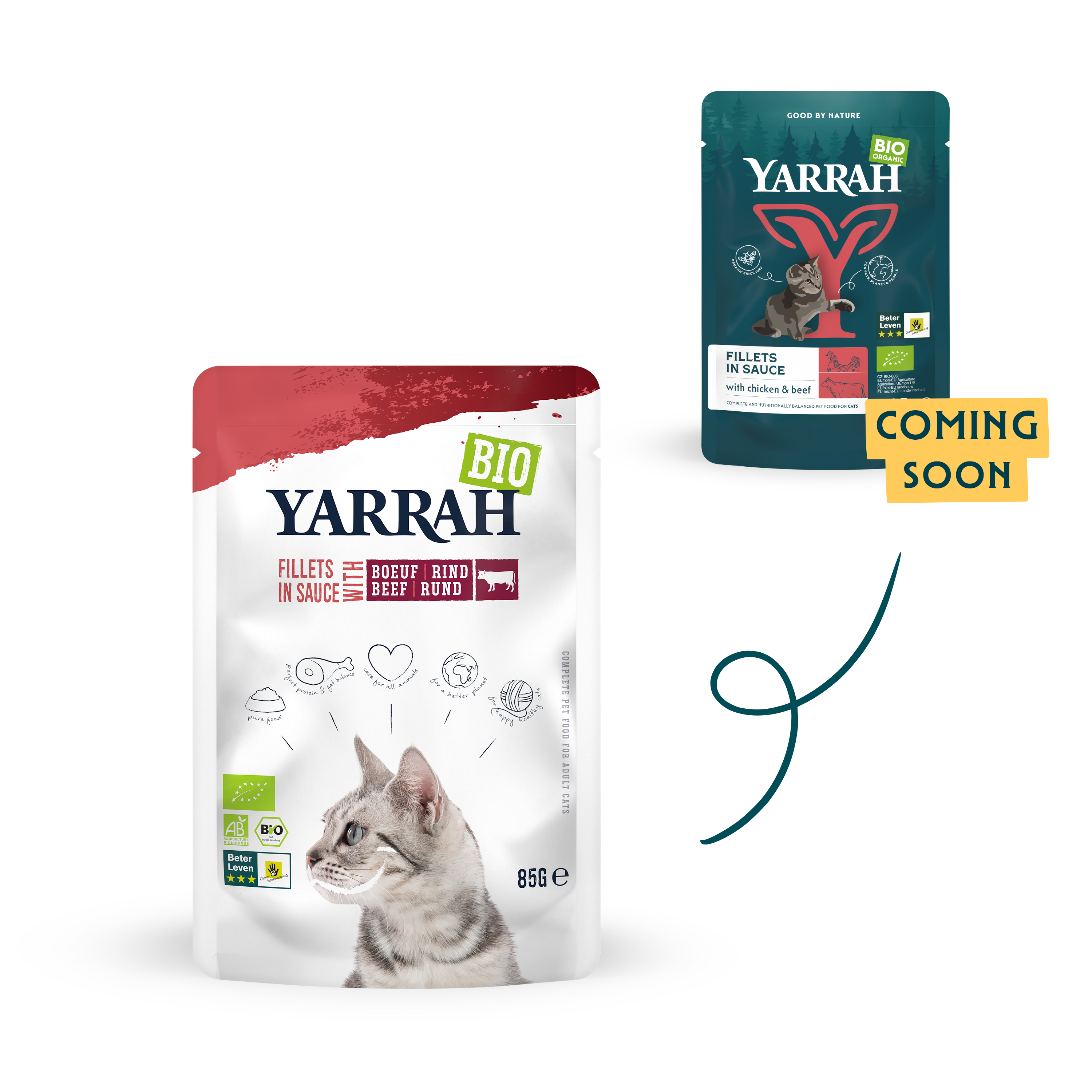 Organic cat food fillets with beef in sauce Organic cat food fillets with beef in sauce