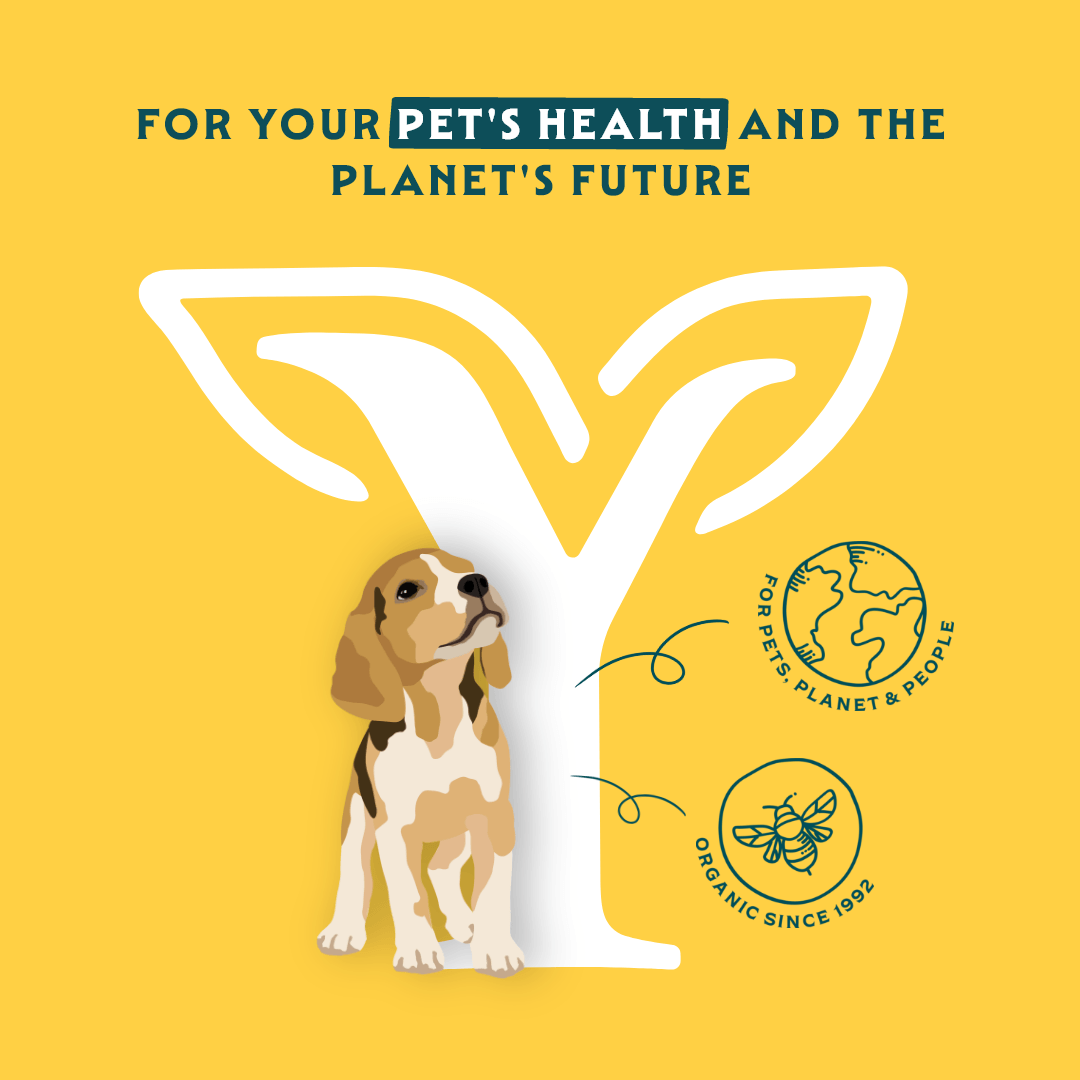 Bio-Hundefutter Welpe