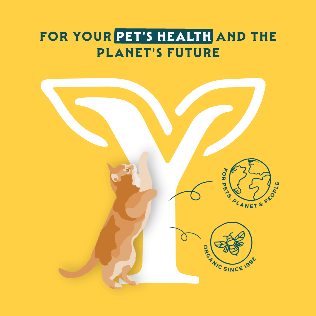 Organic cat food chunks with fish