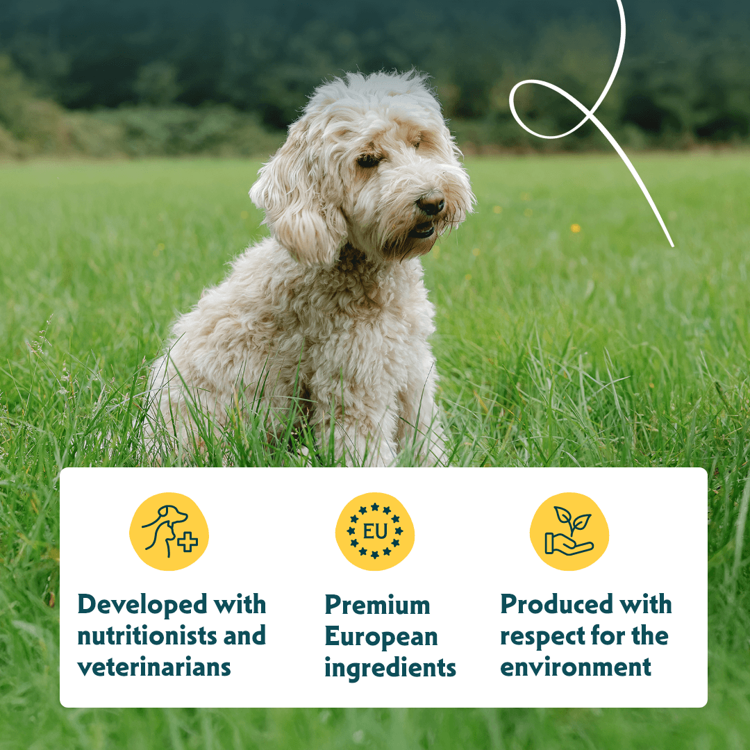 Bio-Hundefutter Sensitive