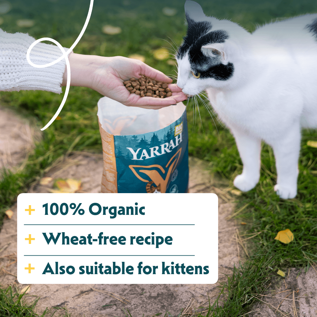 Croquettes biologiques sans blé pour chat