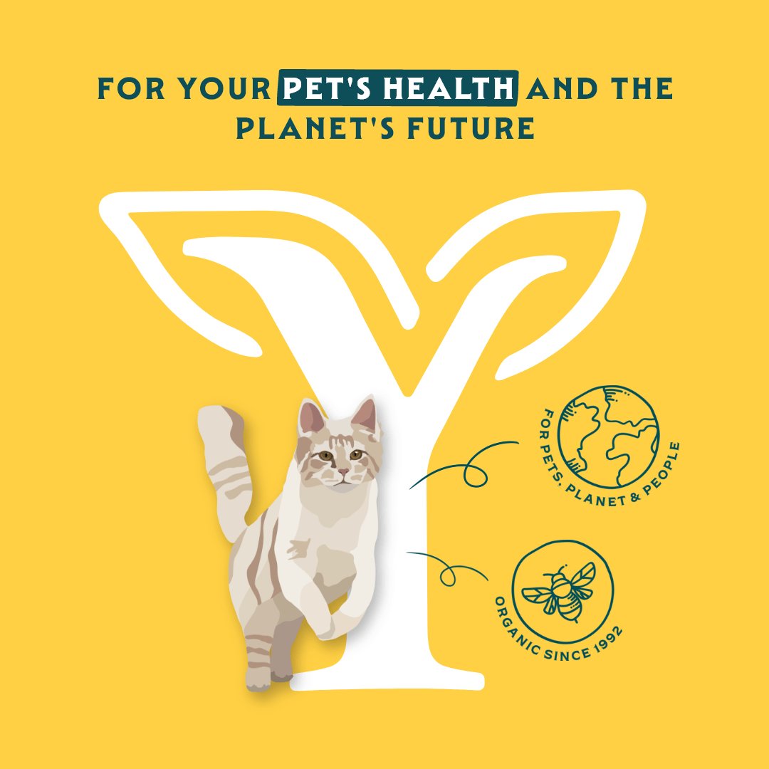 Pâté biologique au saumon pour chat
