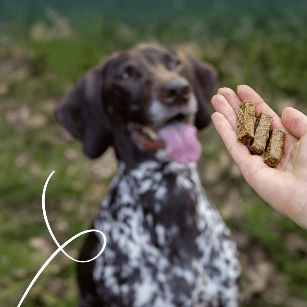 Organic crunchy Sticks with chicken