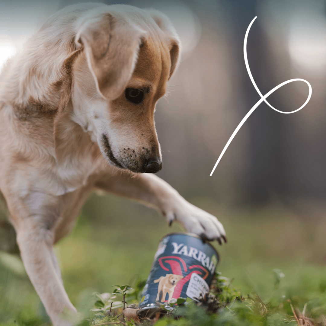 Biologisch hondenvoer chunks met rund