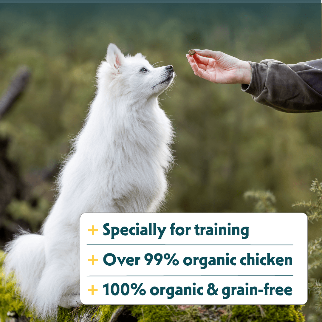 Biologische Trainingssnacks met Kip